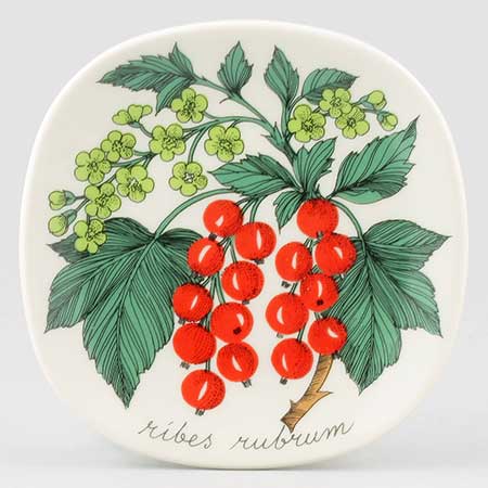 Esteri Tomula Arabia Botanica Ribes rubrum (Redcurrant), 1984–1986