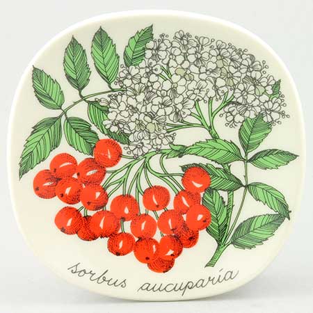 Esteri Tomula Arabia Botanica Sorbus aucuparia (Rosa Lapponia), 1984–1986