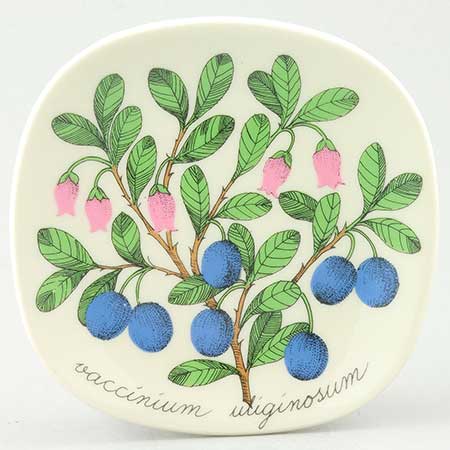 Esteri Tomula Arabia Botanica Vaccinium uliginosum (Western blueberry), 1984–1986