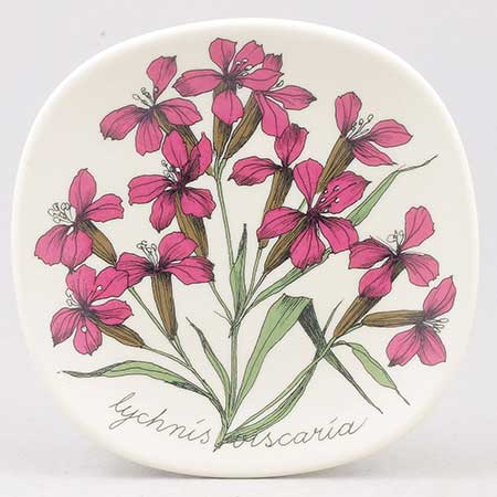 Esteri Tomula Arabia Botanica Lychnis viscaria (Sticky catchfly), 1986–1987
