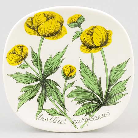 Esteri Tomula Arabia Botanica Trollius europaeus (Globeflower), 1988–1989