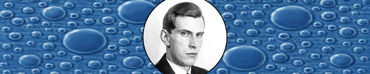 Gunnar Nylund Rörstrand Eternell