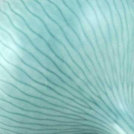 Gunnar Nylund Rörstrand The green Paranta pattern