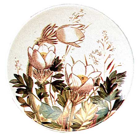 Kirsti Brandt Arabia Provincial Flowers Wall Plaque Kangasvuokko (Heath anemone)