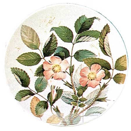 Kirsti Brandt Arabia Provincial Flowers Wall Plaque Karjalanruusu (Karelian rose)
