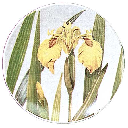 Kirsti Brandt Arabia Provincial Flowers Wall Plaque Kurjenmiekka (Iris)