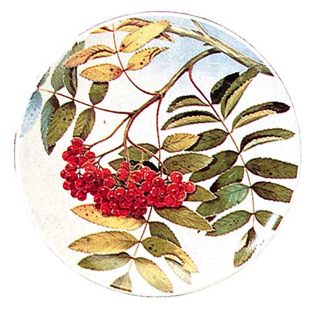 Kirsti Brandt Arabia Provincial Flowers Wall Plaque Pihlaja (Rowan)