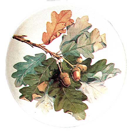 Kirsti Brandt Arabia Provincial Flowers Wall Plaque Tammi (Oak)