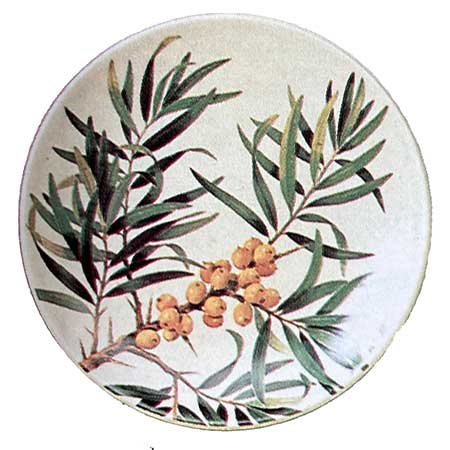 Kirsti Brandt Arabia Provincial Flowers Wall Plaque Tyrni (Finnberry)