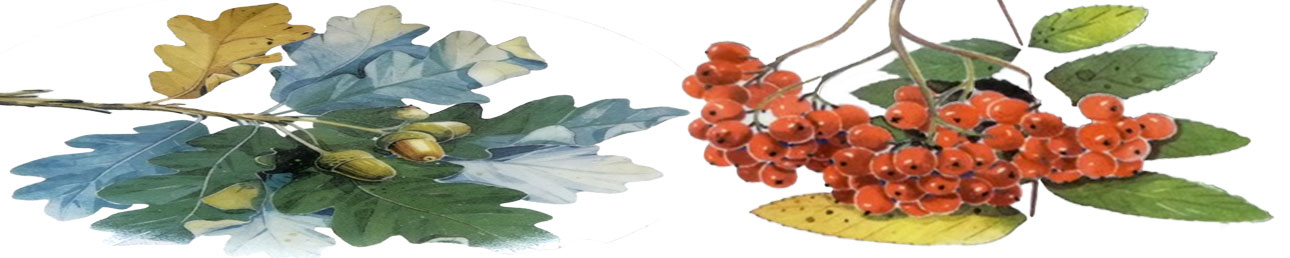 Kirsti Brandt Arabia Provincial Flowers Wall Plaque