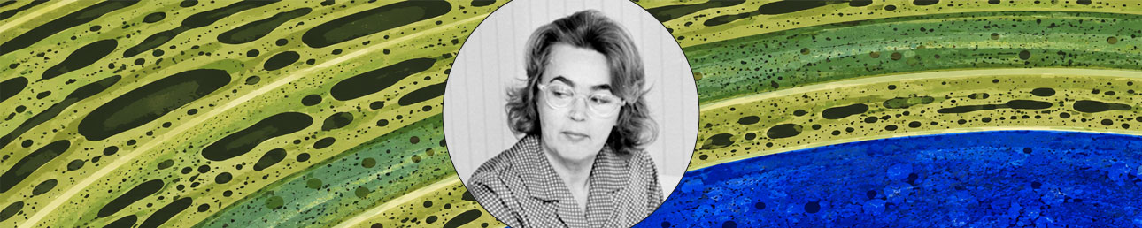 Mari Simmulson Upsala–Ekeby Malta