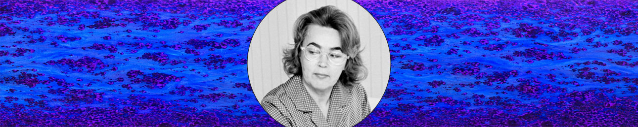 Mari Simmulson Upsala–Ekeby Senegal