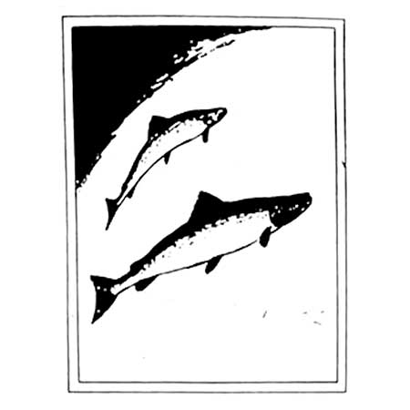 Staffan Johnson Jie Province Animal Atlantic salmon, province animal of Halland