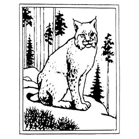 Staffan Johnson Jie Province Animal Eurasian lynx, province animal of Hälsingland