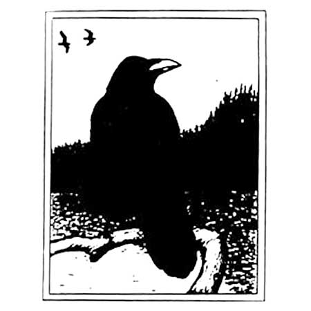 Staffan Johnson Jie Province Animal Northern raven, province animal of Dalsland
