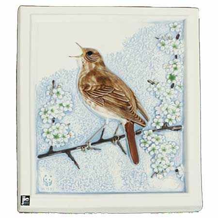Staffan Johnson Jie Province Animal Thrush nightingale, province animal of Öland
