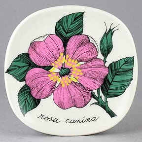 Botanica