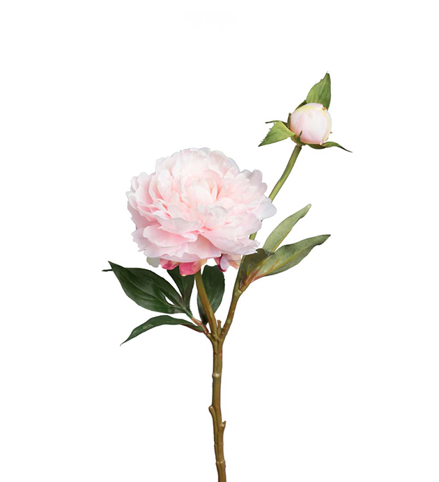 Pion