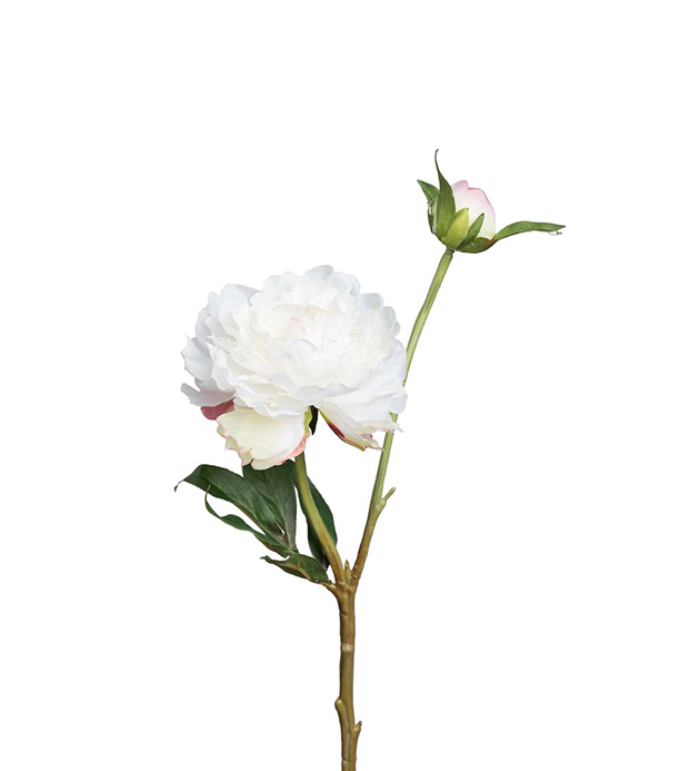Pion