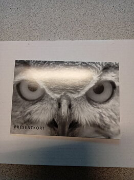 Presentkort