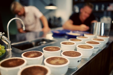 Rattleware - Coffee Cupping Tray  - klassisk bricka för koppning - 2