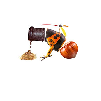 Råkaffe - Brazil Fortaleza - Direct Trade FAF Bobolink Brasilien