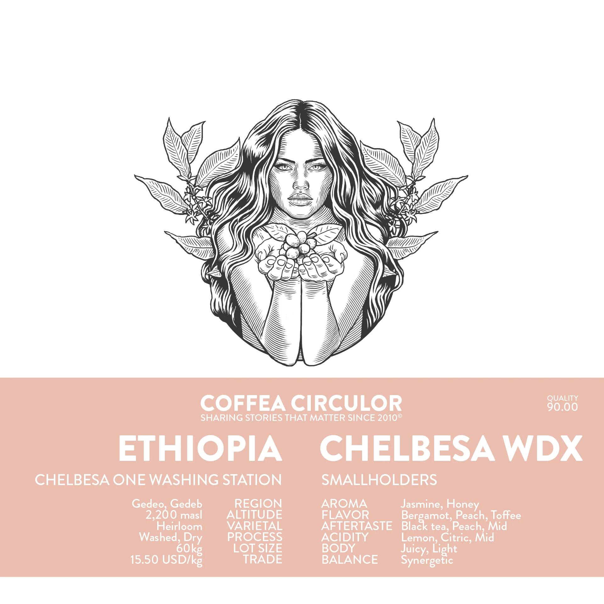 Coffea Circulor - Chelbesa Washed Dry WDX - Etiopien - Ljusrostade hela kaffebönor - 250g