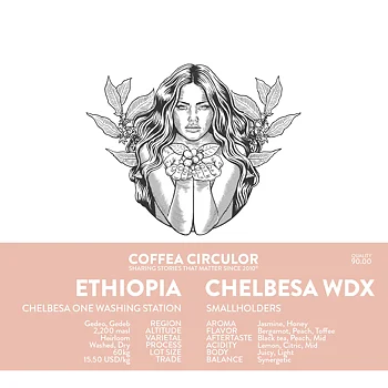 Coffea Circulor - Chelbesa Washed Dry WDX - Etiopien - Ljusrostade hela kaffebönor - 250g