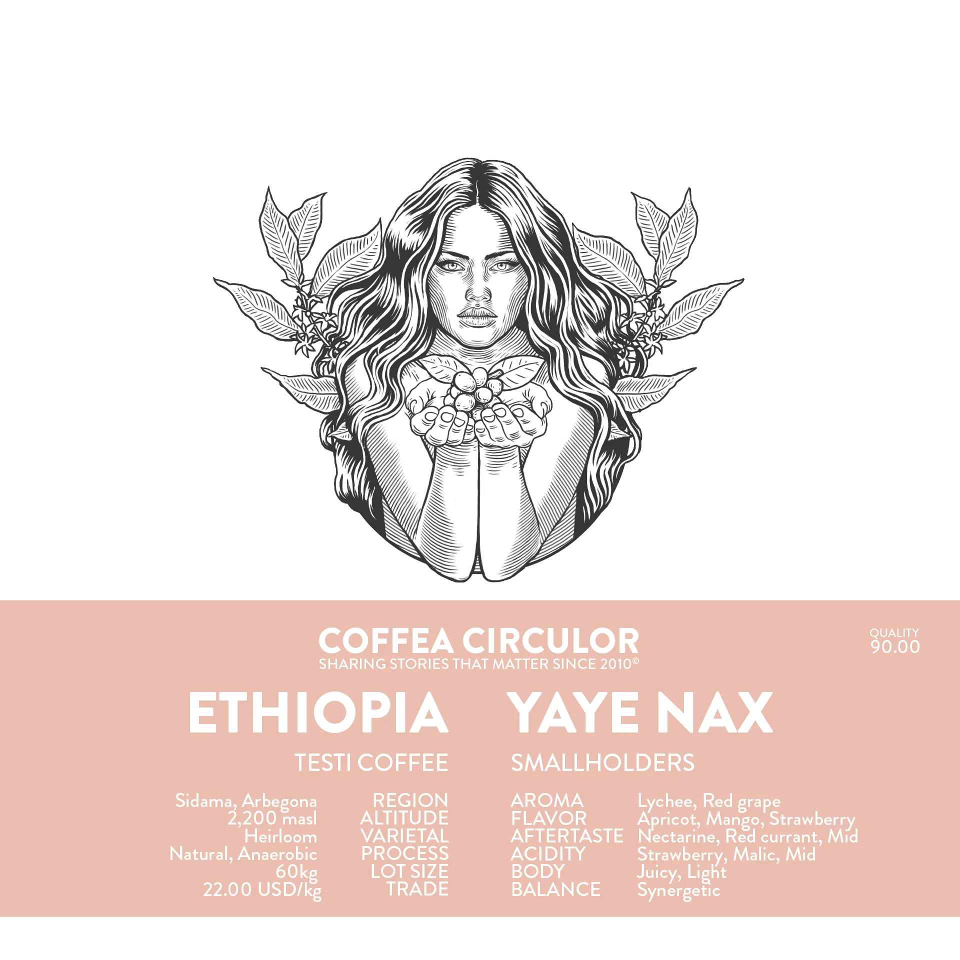 Coffea Circulor - Yaye NAX - Etiopien - Washed - Ljusrostade hela kaffebönor - 250g