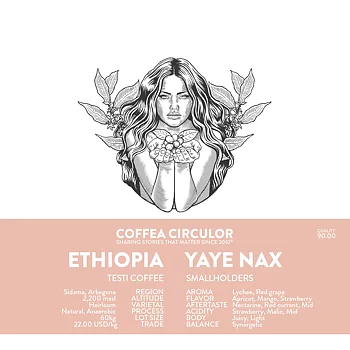 Coffea Circulor - Yaye NAX - Etiopien - Washed - Ljusrostade hela kaffebönor - 250g