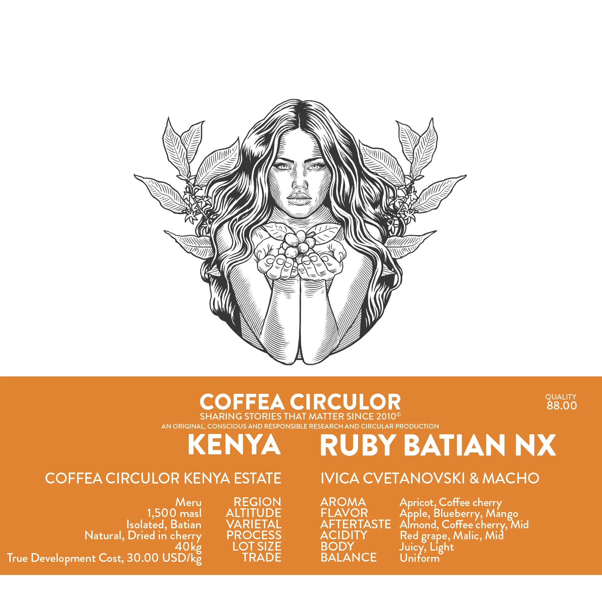 Coffea Circulor - Ruby  Batian NX - Kenya - Ljusrostade hela kaffebönor - 250g