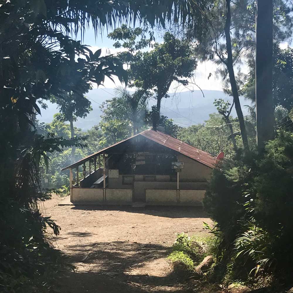 Drop Coffee - Las Delicias - Washed Java - Nicaragua - Ljusrostade hela kaffebönor - 250g - 6