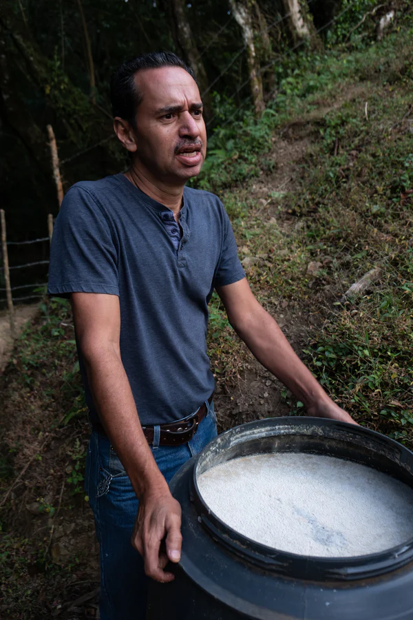 Paso Paso - Jorge Vásquez - Catuai Natural - Costa Rica - Ljusrostade hela kaffebönor - 250g - 11