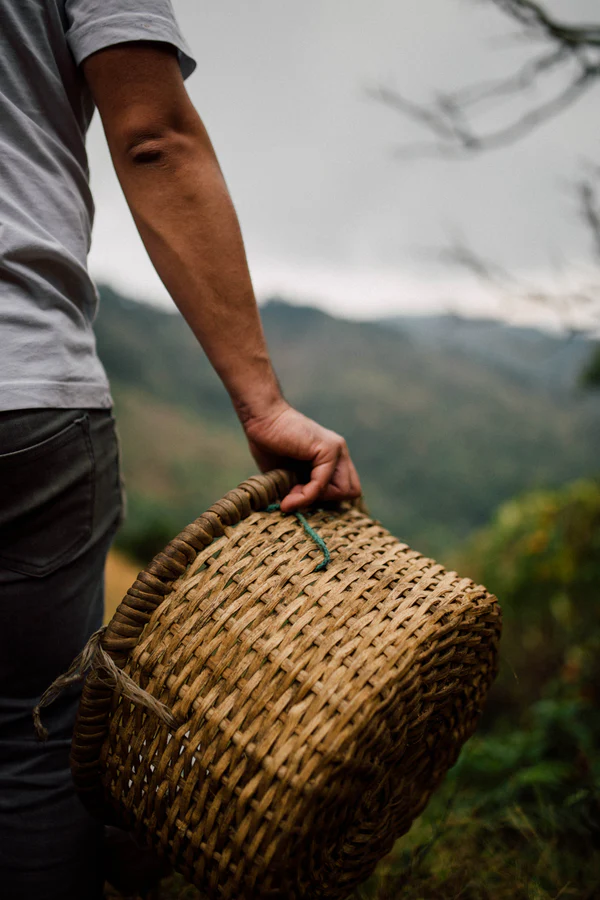 Paso Paso - Jorge Vásquez - Catuai Natural - Costa Rica - Ljusrostade hela kaffebönor - 250g - 5