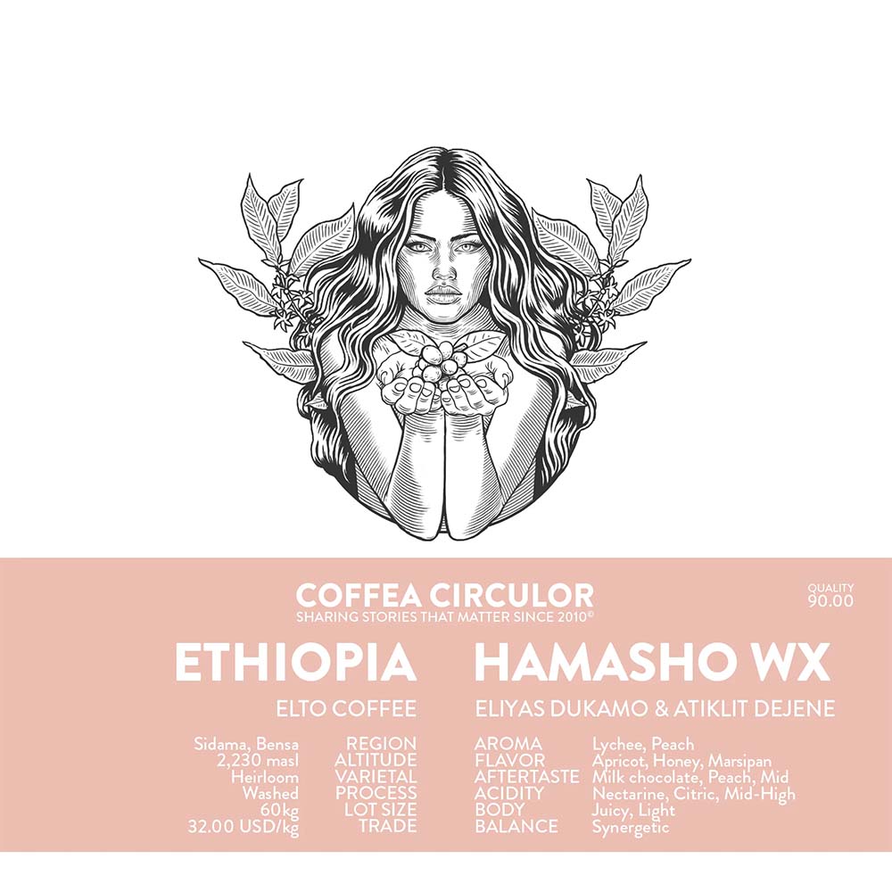 Coffea Circulor - Hamasho WX  - Ethiopia - Ljusrostade hela kaffebönor - 250g
