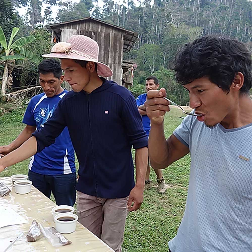Gringo Nordic - Nueva Florida - Peru - Ekologiska (SE-EKO-04) mellanrostade hela kaffebönor - 250g - 8