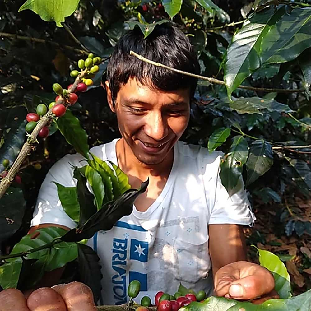 Gringo Nordic - Nueva Florida - Peru - Ekologiska (SE-EKO-04) mellanrostade hela kaffebönor - 5kg STOR PÅSE - 5