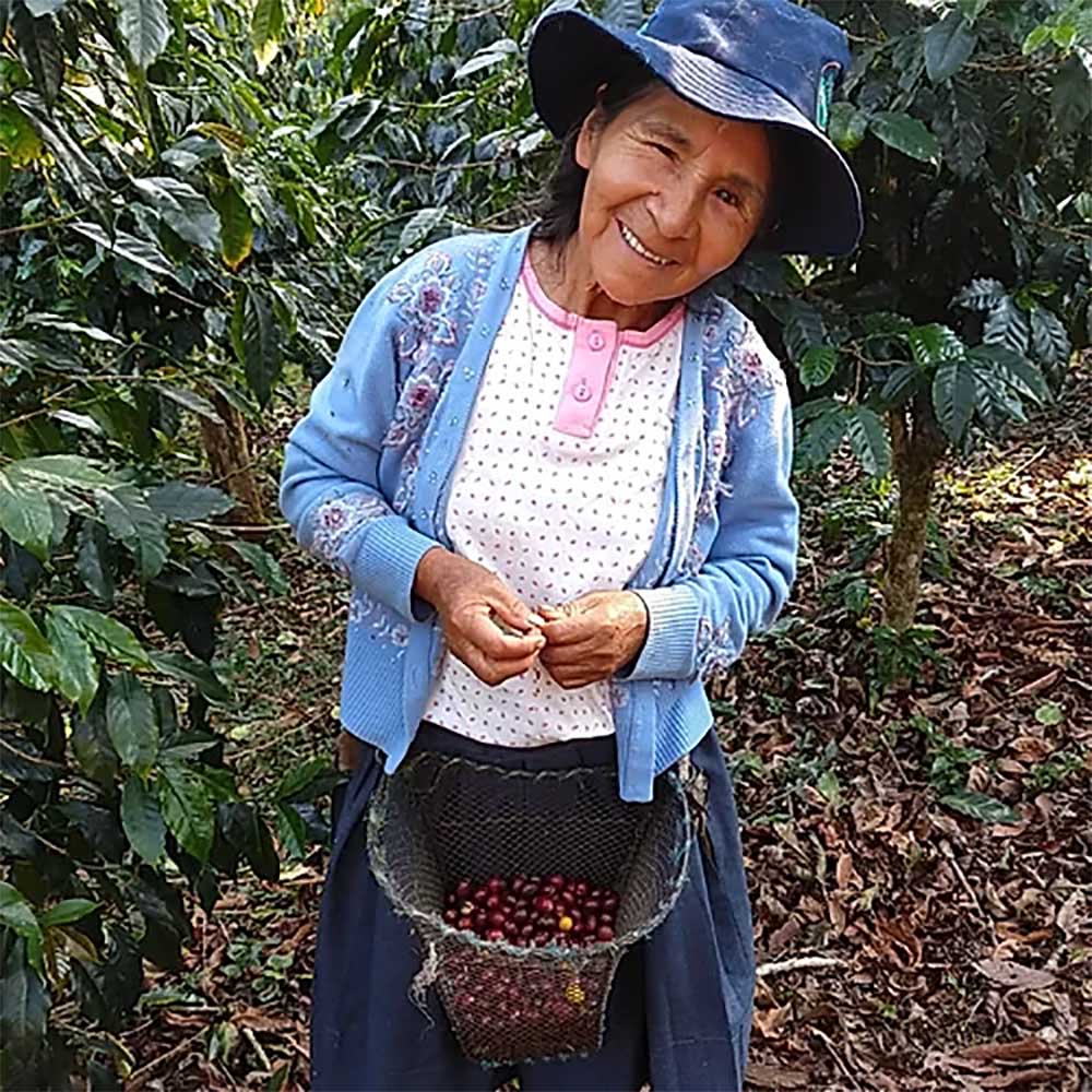 Gringo Nordic - Nueva Florida - Peru - Ekologiska (SE-EKO-04) mellanrostade hela kaffebönor - 5kg STOR PÅSE - 4