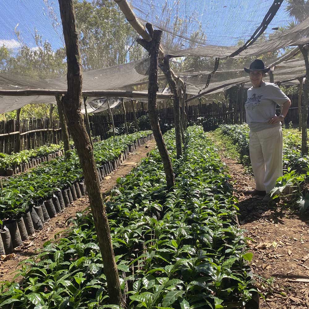 Drop Coffee - Finca Nejapa - Washed  Yellow Caturra - El Salvador - Ljusrostade kaffebönor - 250g - 3