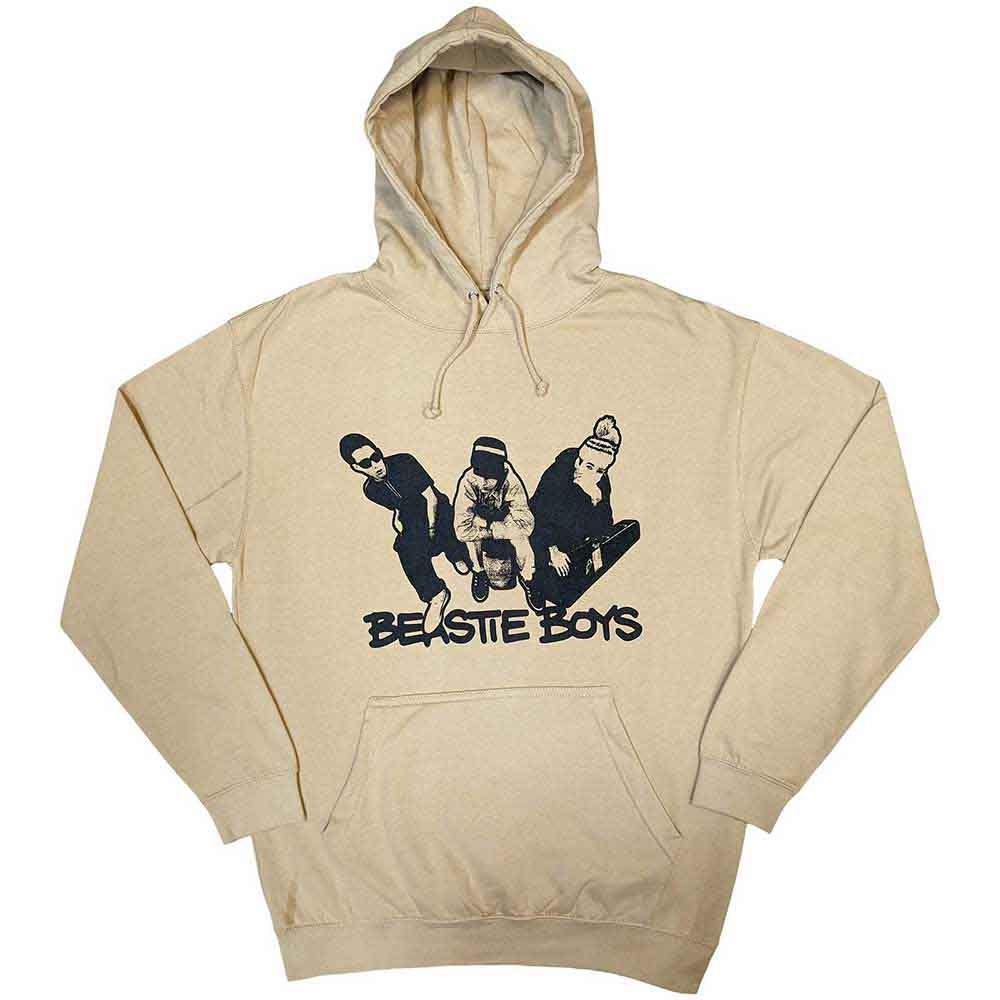 The Beastie Boys Unisex Pullover Hoodie: Check Your Head (XX-Large)