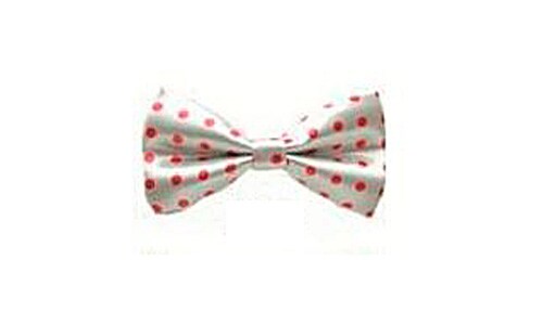 Bowtie: White with pink dots