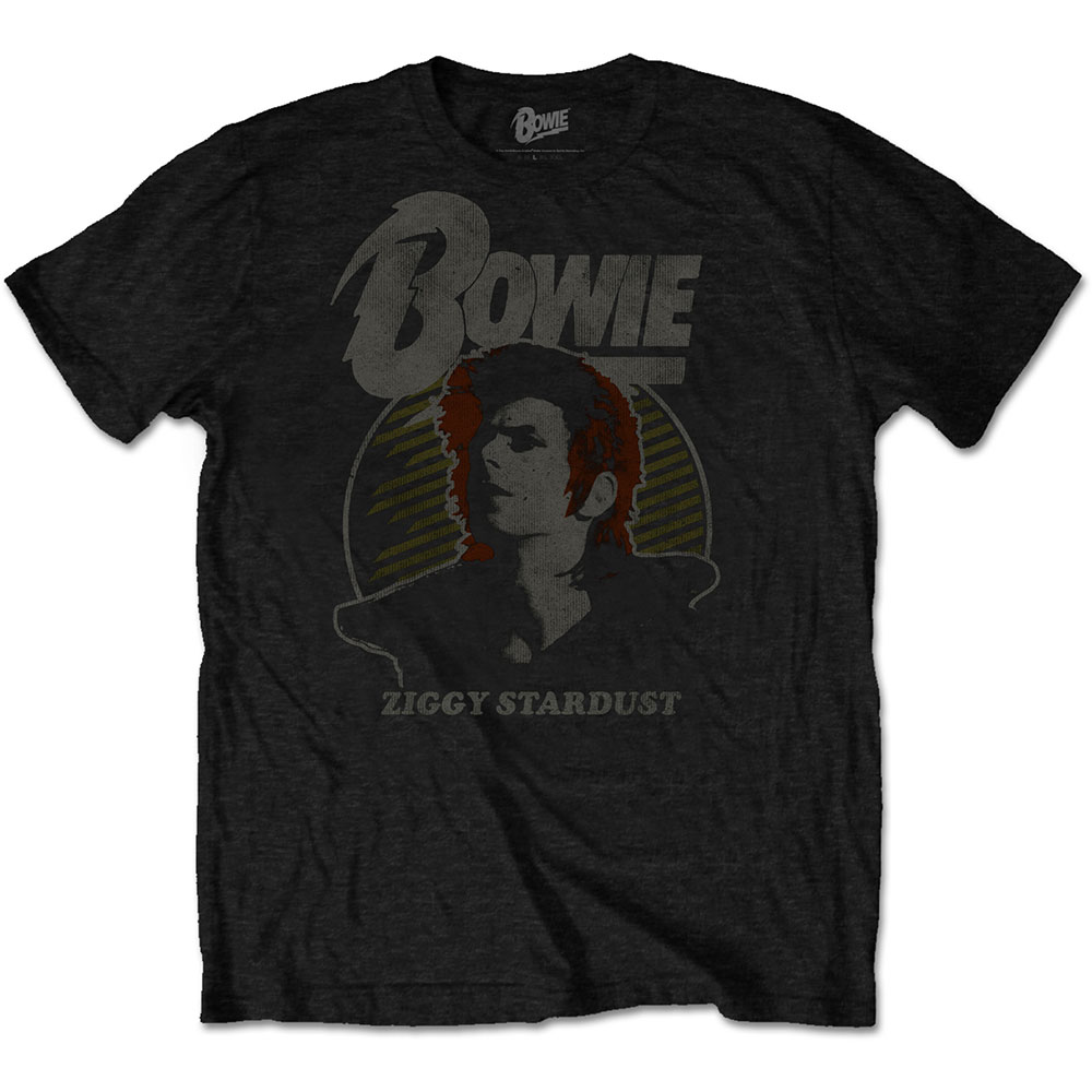 David Bowie Unisex T-Shirt: Vintage Ziggy (Medium)