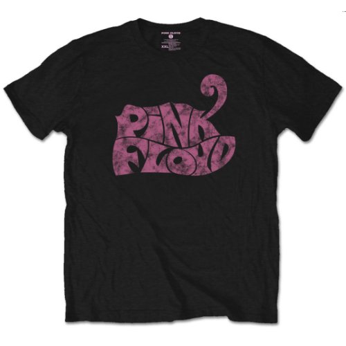 Pink Floyd Unisex T-Shirt: Swirl Logo (Large)