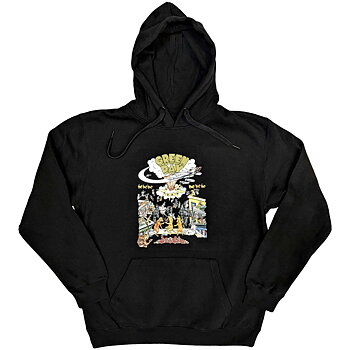 Green Day Unisex Pullover Hoodie: 1994 Tour (Medium)
