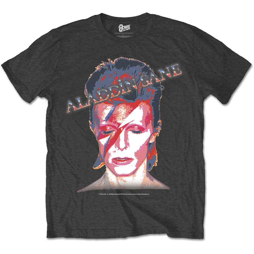 David Bowie Unisex T-Shirt: Aladdin Sane (Large)