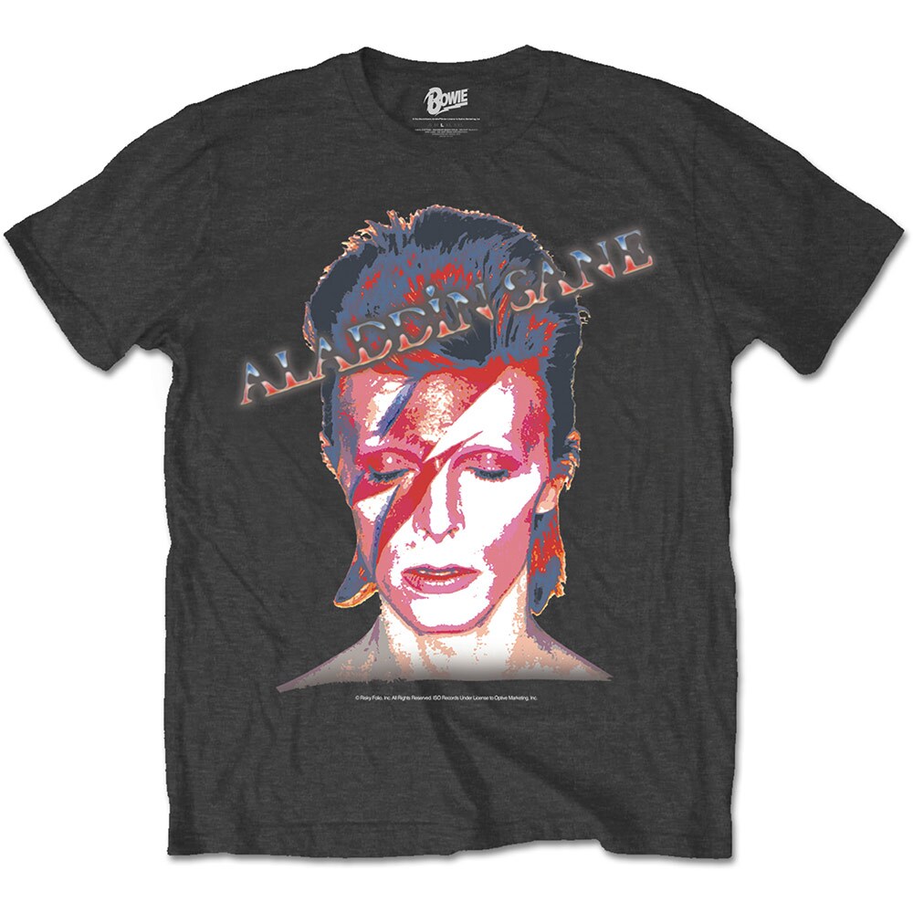 David Bowie Unisex T-Shirt: Aladdin Sane (Large) - 2