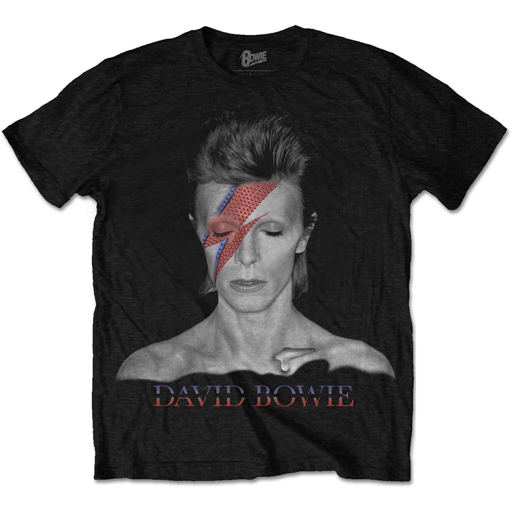 David Bowie Unisex T-Shirt: Aladdin Sane (Large) - 2