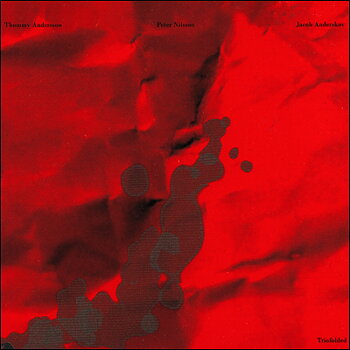Andersson, Nilsson & Anderskov: Triofolded (CD)