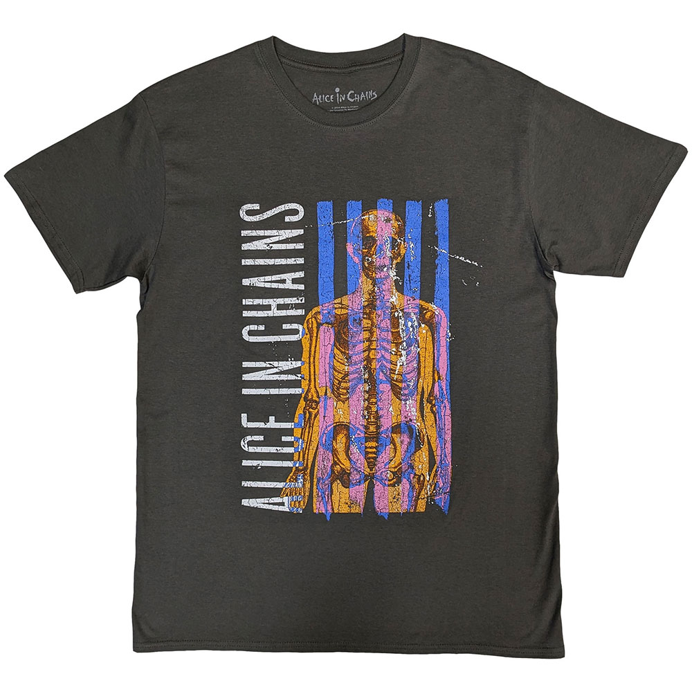 Alice In Chains Unisex Stone Wash T-Shirt: Skeletal (Small)
