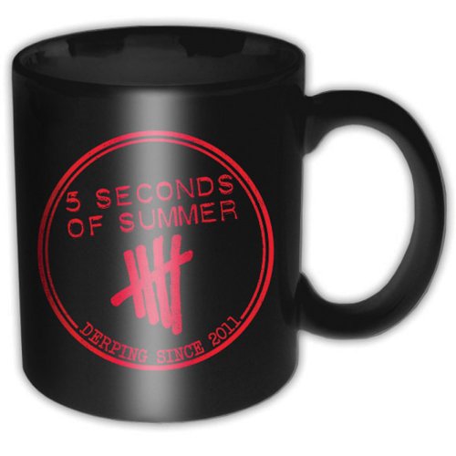 5 Seconds of Summer Boxed Standard Mug: Derping Stamp - 2
